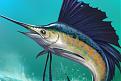 Click image for larger version

Name:	sail-510x340.jpg
Views:	316
Size:	25.2 KB
ID:	1974228
